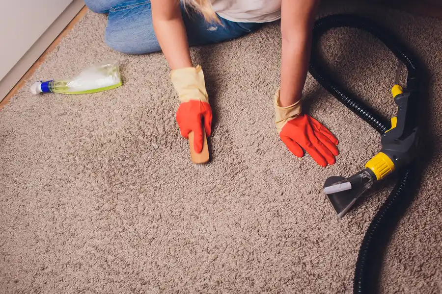 Expert Deep Carpet Cleaning San Bernardino, CA Expert Deep Carpet Cleaning San Bernardino, CA