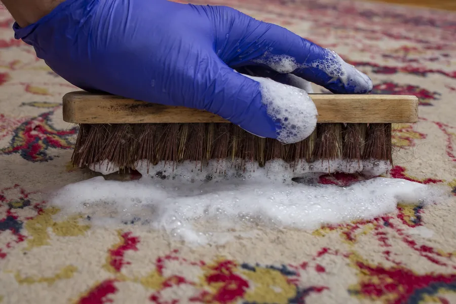 Why Diy Rug Cleaning May Harm Oriental Fibers San Bernardino, CA Why Diy Rug Cleaning May Harm Oriental Fibers San Bernardino, CA